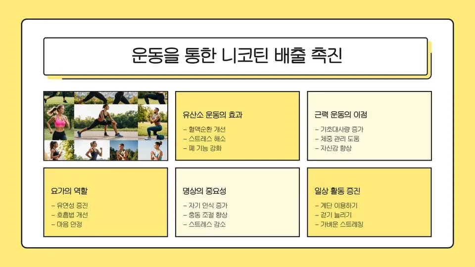 니코틴 배출 이미지 7
