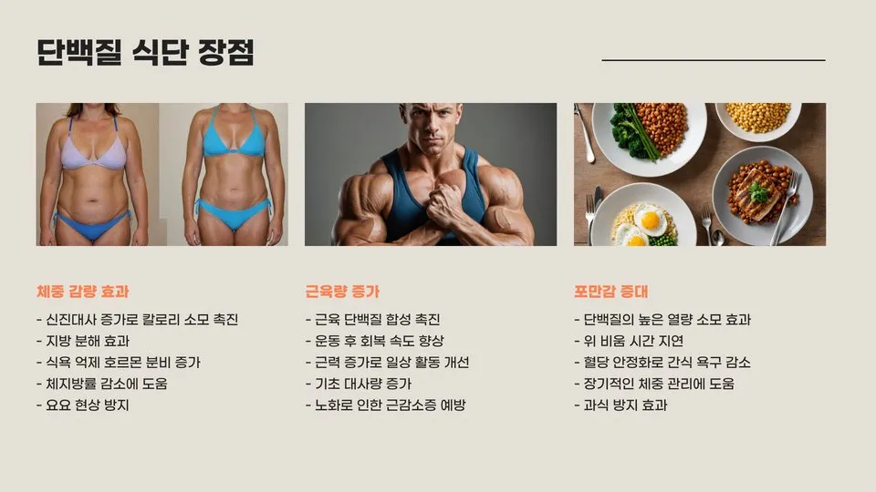 단백질 식단 이미지 7