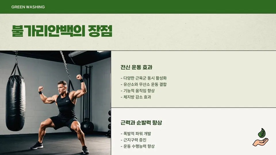 불가리안백 이미지 7
