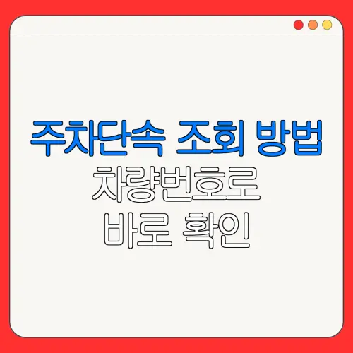 주차단속 조회 방법차량번호로바로 확인