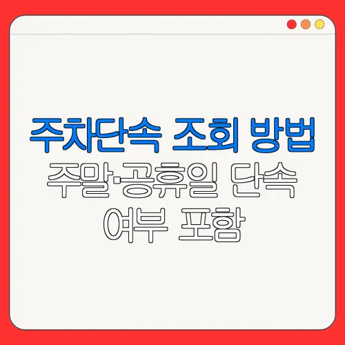 주차단속 조회 방법주말·공휴일 단속여부 포함