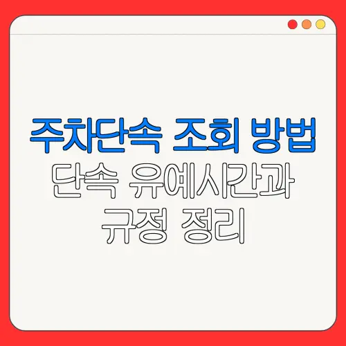 주차단속 조회 방법단속 유예시간과규정 정리