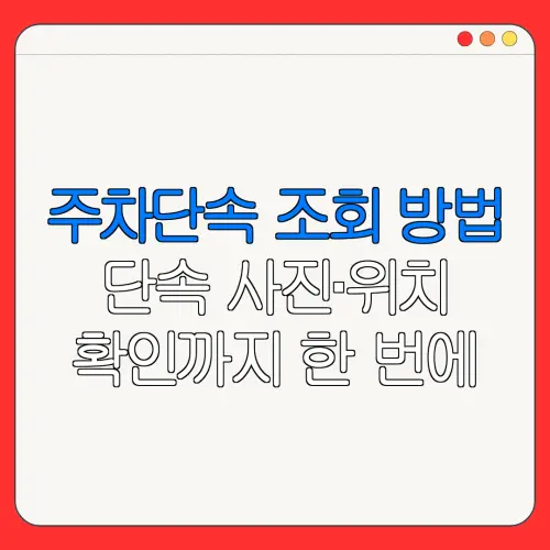 주차단속 조회 방법단속 사진·위치확인까지 한 번에