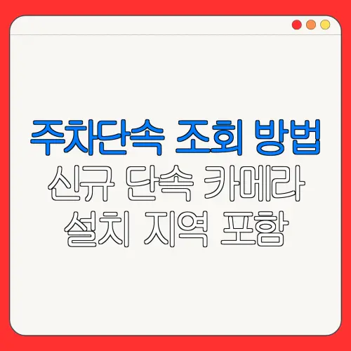 주차단속 조회 방법신규 단속 카메라설치 지역 포함