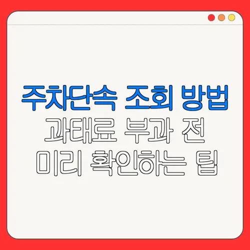 주차단속 조회 방법과태료 부과 전미리 확인하는 팁