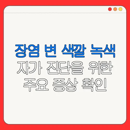 장염 변 색깔 녹색자가 진단을 위한주요 증상 확인