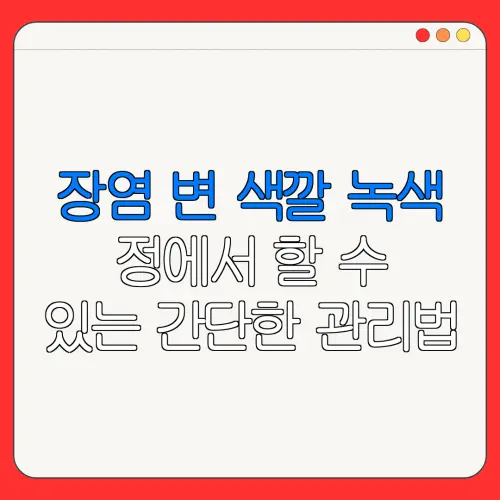 장염 변 색깔 녹색정에서 할 수있는 간단한 관리법