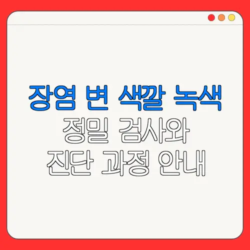 장염 변 색깔 녹색정밀 검사와진단 과정 안내