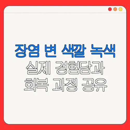 장염 변 색깔 녹색실제 경험담과회복 과정 공유
