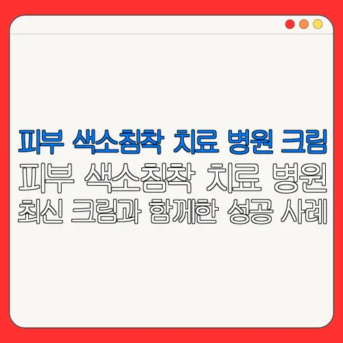 피부 색소침착 치료 병원 크림피부 색소침착 치료 병원최신 크림과 함께한 성공 사례